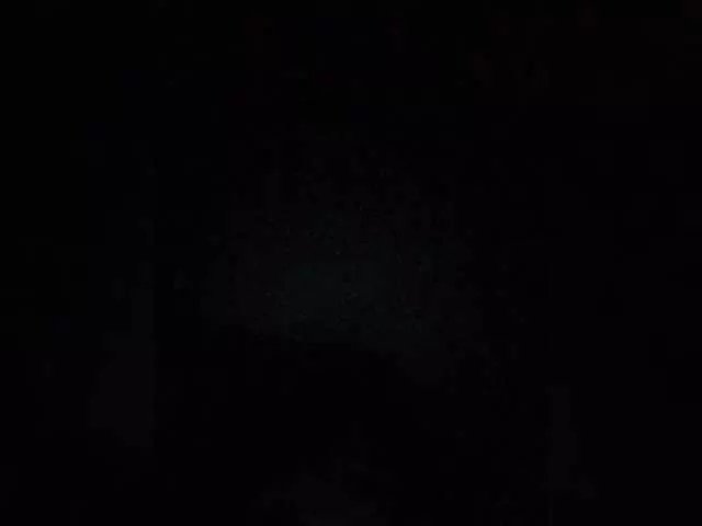 Freechat Bogina2 on BongaCams