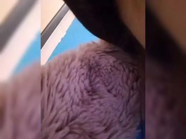 Freechat Bogina2 on BongaCams