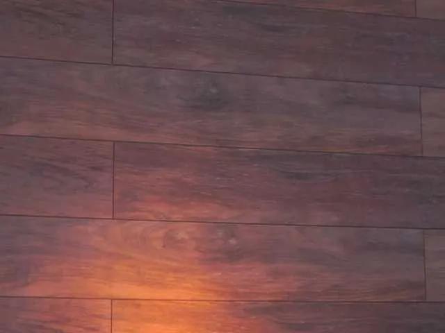 Masturbate to amazing camslut EllieRedd EllieRedd from BongaCams