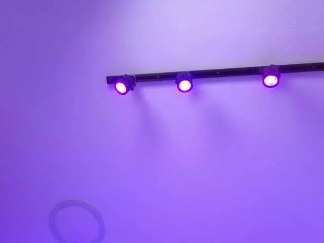 Freechat MaiaWatson on BongaCams