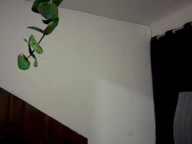 Freechat MarcellaGriffin on BongaCams