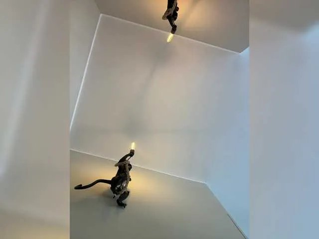 Freechat REALMEANTINA on BongaCams