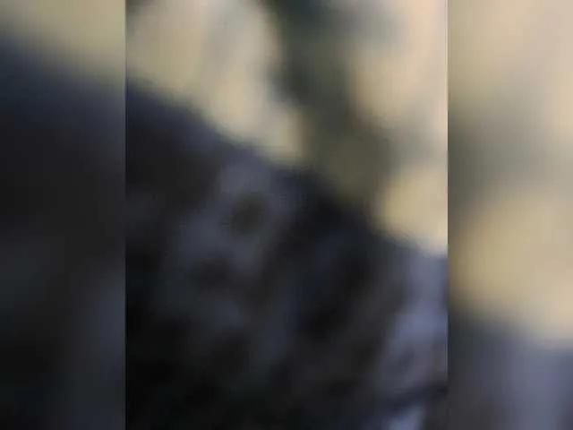 BongaCams SeductiveSapphire SeductiveSapphire from BongaCams