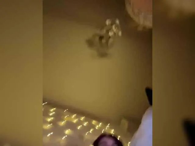 The-best-babies — Lick each other's nipples and pussy @total - countdown: @sofar collected, @remain left until the show starts!bdsm show