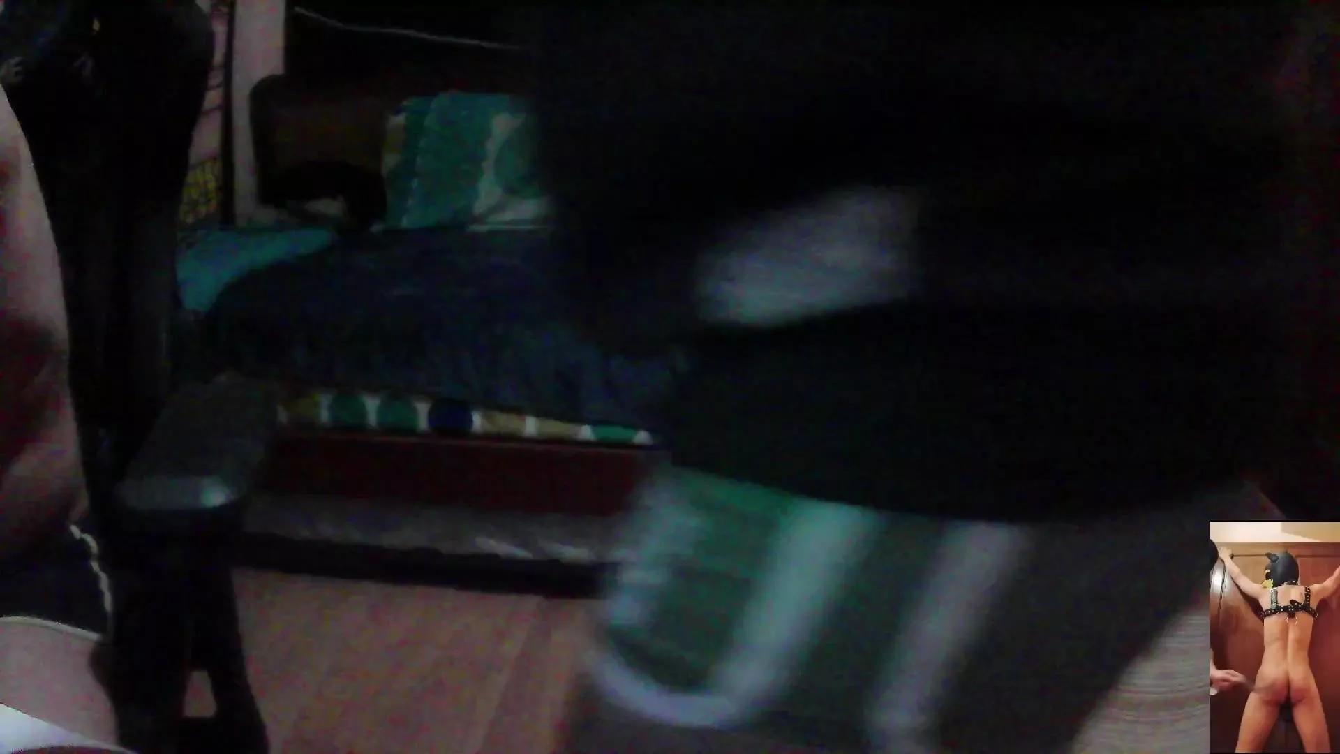 Dogtrainingay on Cam4 