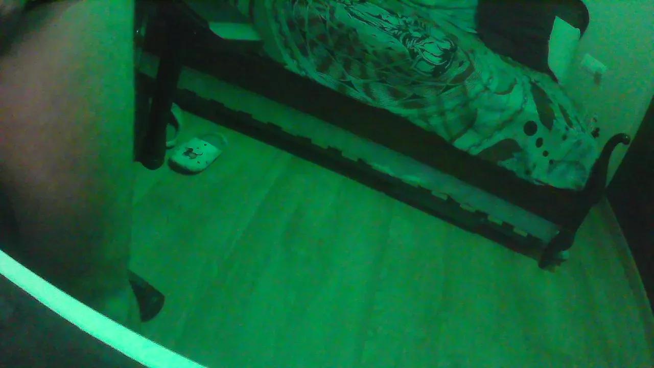 Dogtrainingay on Cam4 