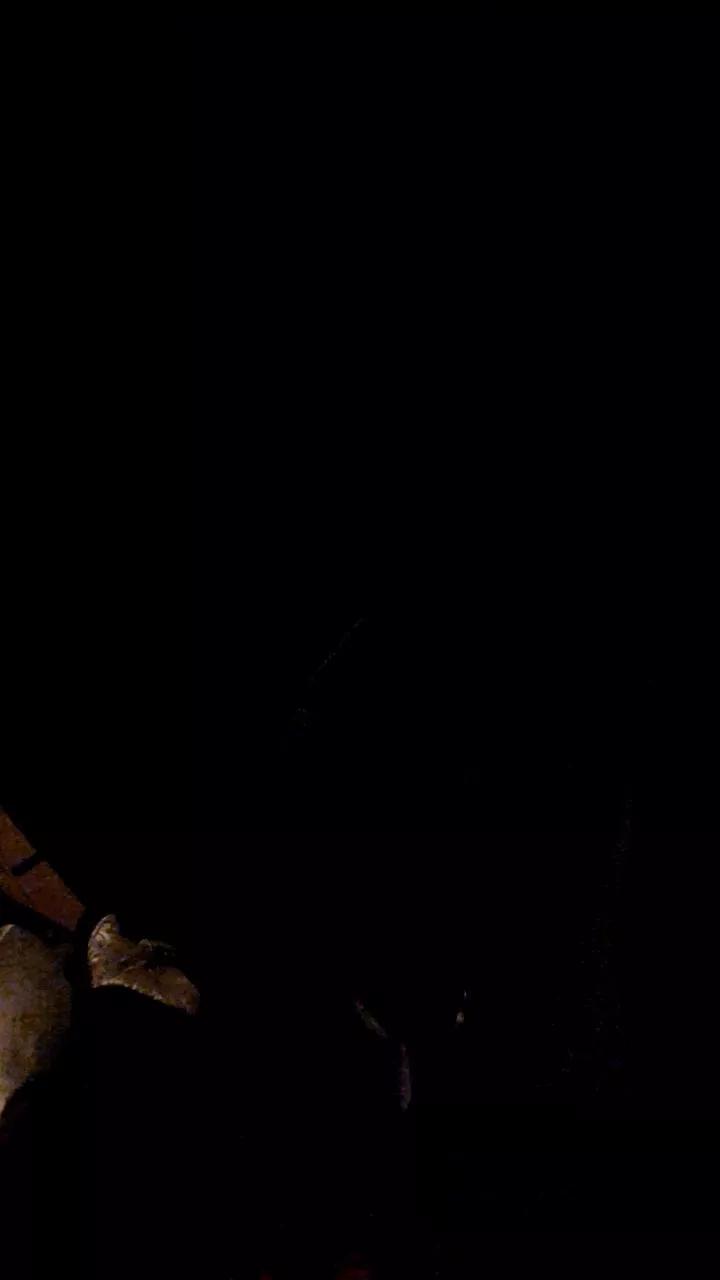 jordi2721 on Cam4 