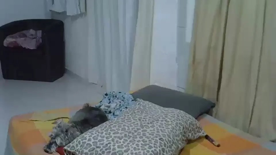 Offline Mariokurt on Cam4