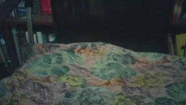 mengdl2 on Cam4 
