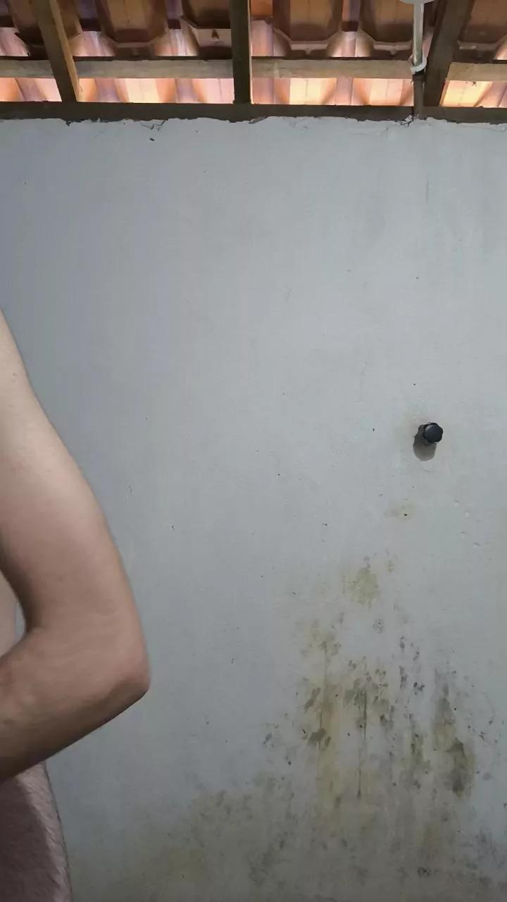 NovinPauzudoo on Cam4 