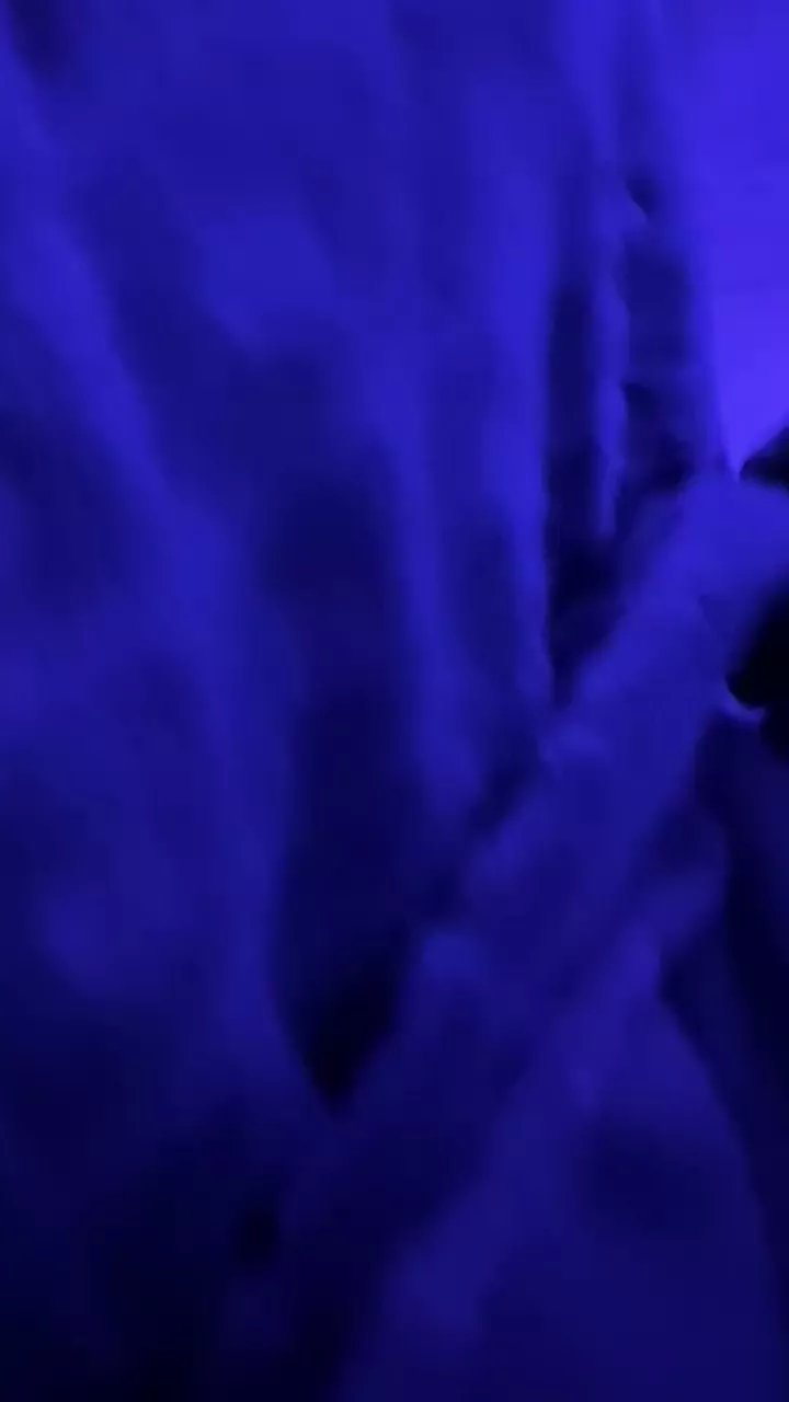 Offline Otman_77 on Cam4