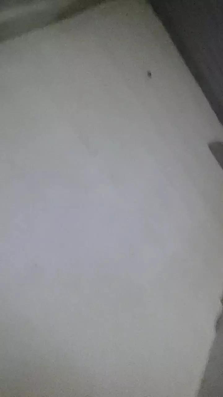 Pilihotssj on Cam4 