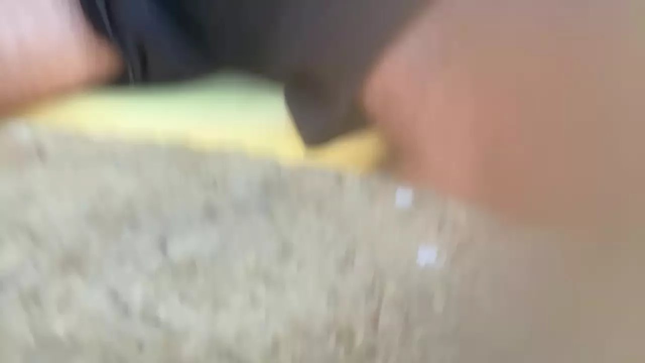 Offline Salchichacalien on Cam4