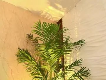 anton__monacu on Chaturbate