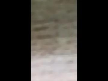 Freechat faustfrost on Chaturbate