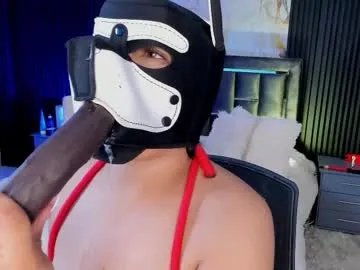 Freechat issafoxx on Chaturbate