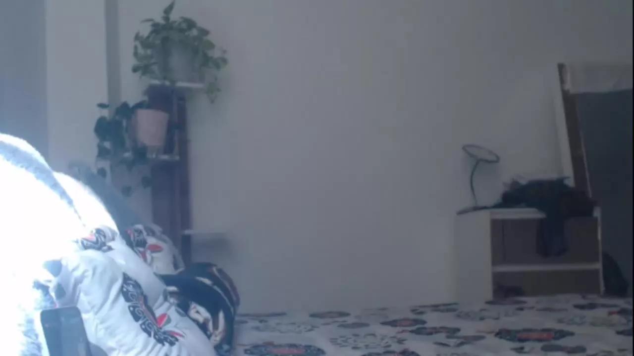 Seiya1 on Streamray 
