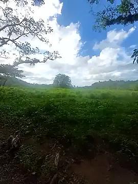 Freechat LucyNatural on StripChat