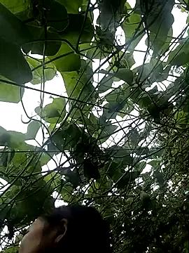 Freechat ngan-cute on StripChat