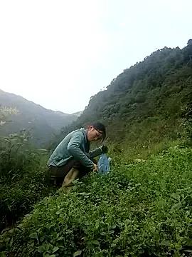 Freechat ngan-cute on StripChat